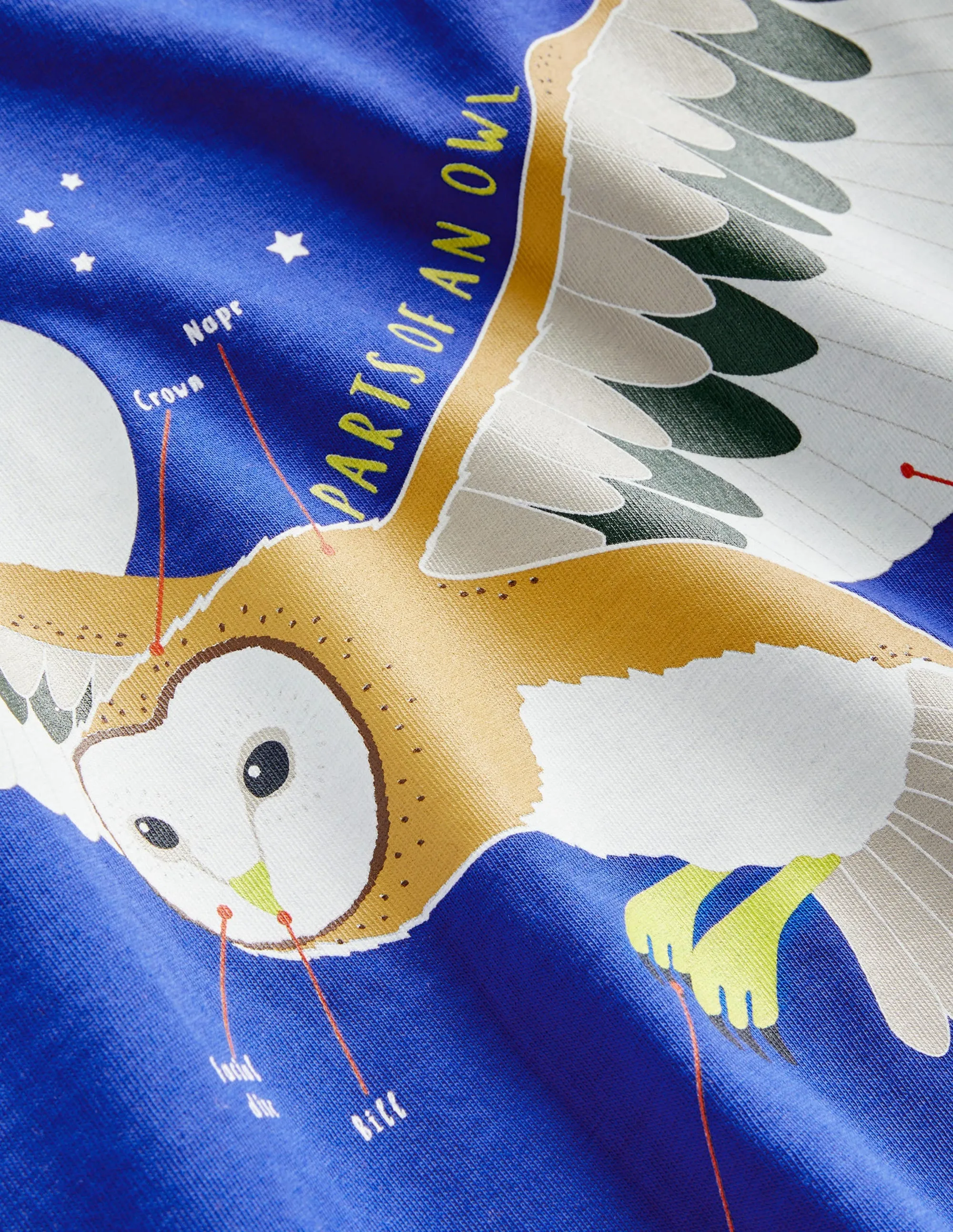 Blue Owl Print Long-Sleeved T-shirt-Brilliant Blue Owl